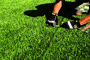 artificial lawn