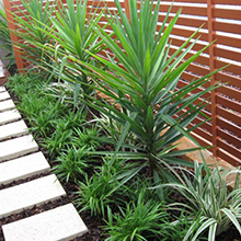 affordable landscapers perth