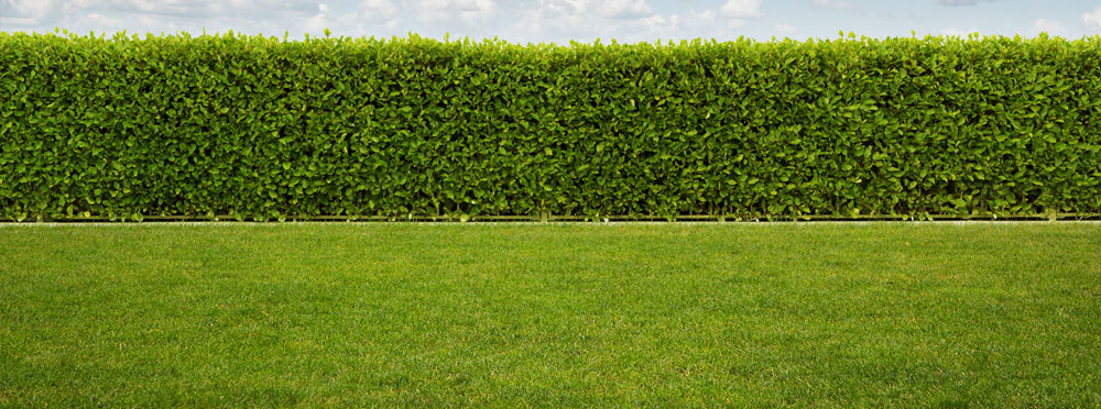 the perth lawn installation experts