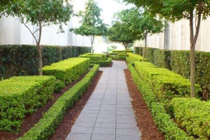 commercial street front landscapes